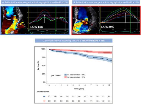 elevated lavi mortality rate.